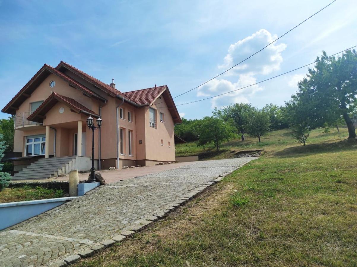 Casa Panoramic Βίλα Τούρντα Εξωτερικό φωτογραφία